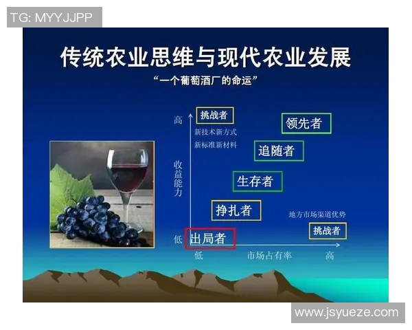 足球明星与赌博的关系探讨及其对职业生涯的影响分析